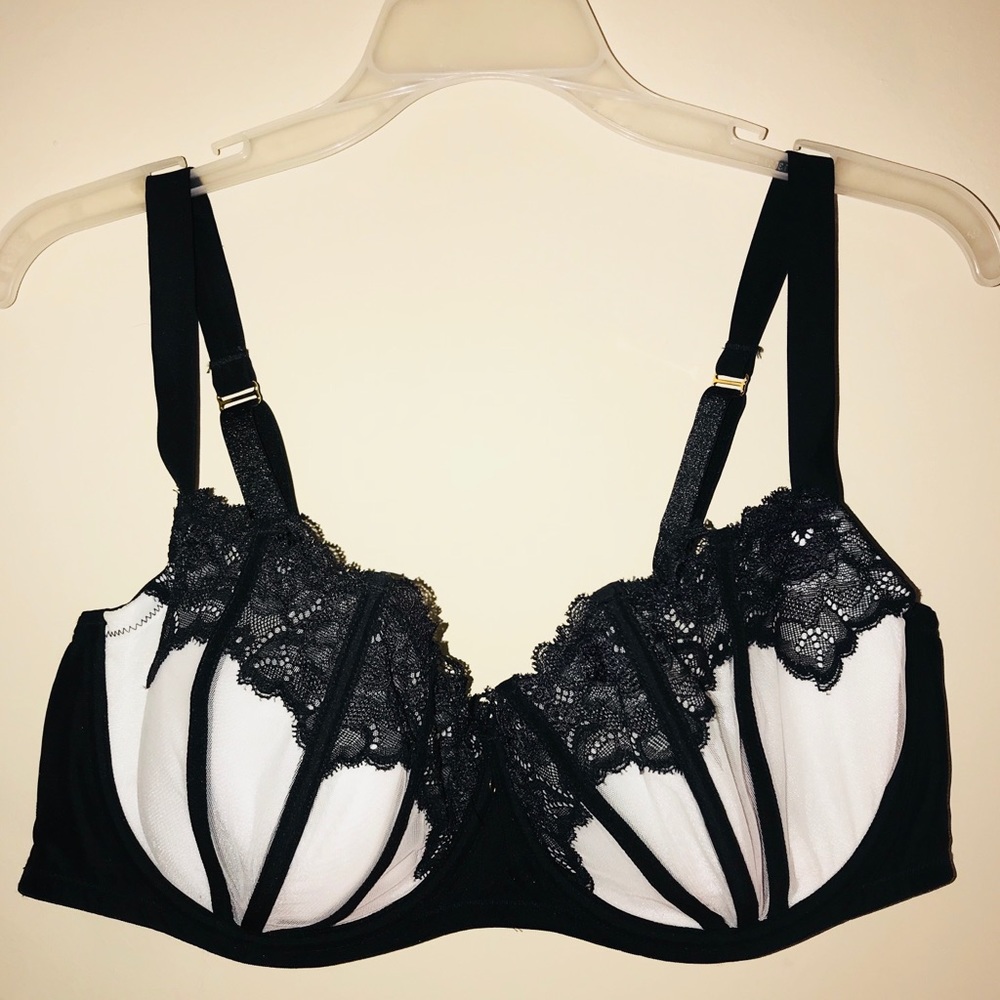 Sexy Bra